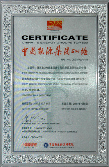 人生就是博荣获“2010中国能源集团500强”