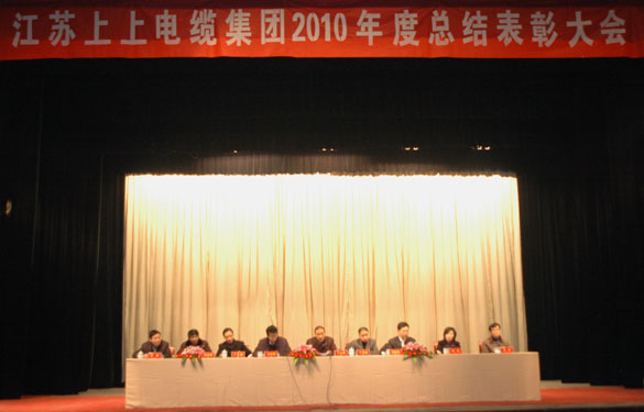 人生就是博盛大召开2010年度总结表扬大会