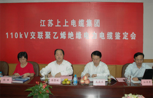 人生就是博额定电压110kV交联聚乙烯绝缘电力电缆产品通过判断