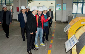 2015年11月22日，郎溪县党政代表团一行来人生就是博电缆旅行考察