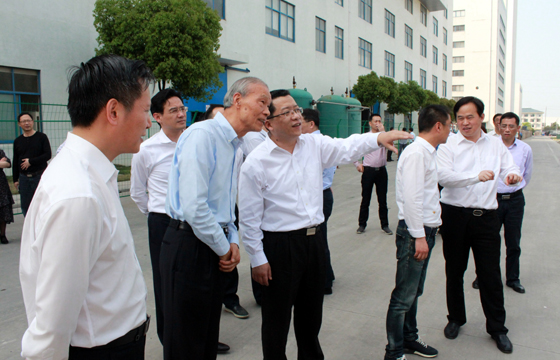 常州市市长丁纯来人生就是博电缆督查新能源项目建设