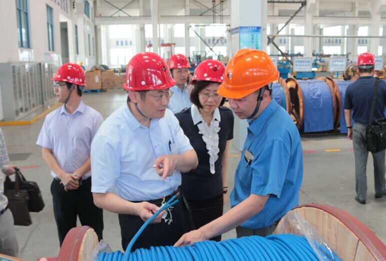 2016年7月22日，泸州市委常委、副市长王建翔一行来人生就是博电缆旅行考察