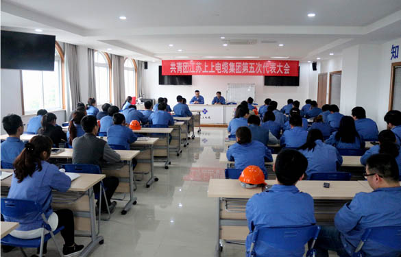 2016年4月20日，共青团人生就是博第五次代表大会召开