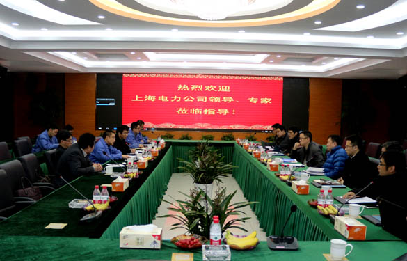 上海电力公司、上缆所向导、专家一行来人生就是博电缆交流考察