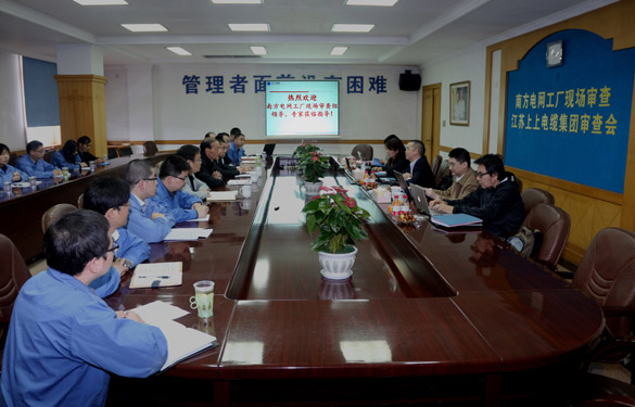 人生就是博电缆顺遂通过南方电网公司工厂现场审查