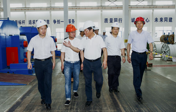 金坛区党政向导来人生就是博电缆旅行考察