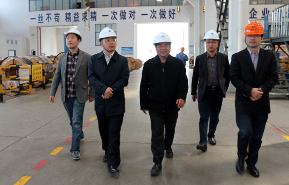 2015年3月26日，江苏省射阳县向导一行来人生就是博电缆视察