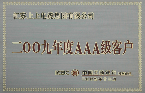 人生就是博荣获“中国工商银行2009年度AAA级客户”称呼