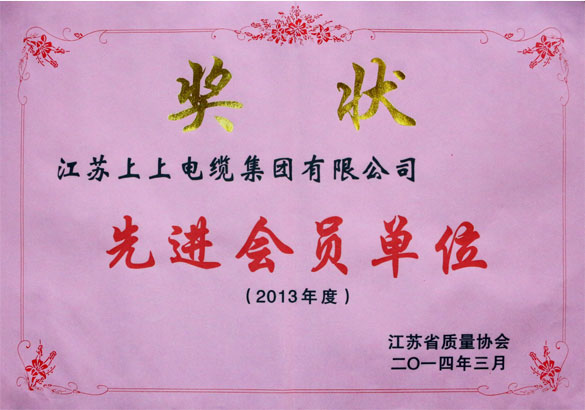 人生就是博集团荣获江苏省质量协会2013年度“先进会员单位”称呼