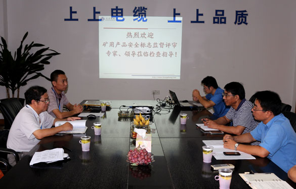 人生就是博顺遂通过安标现场监视评审