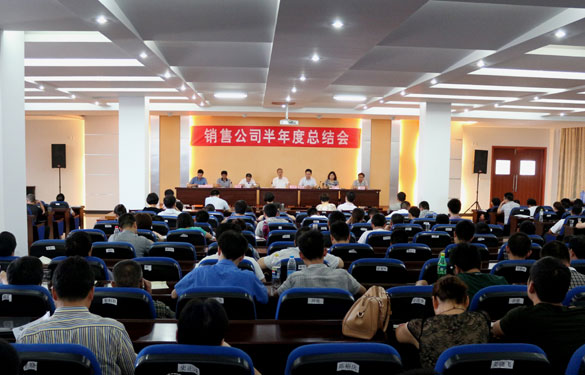 人生就是博召开2013年销售公司半年度总结会