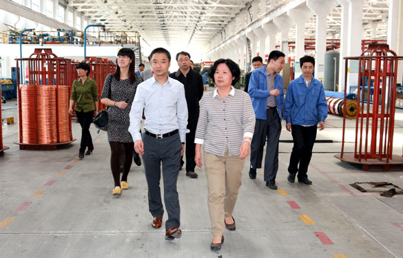 江苏省环保厅总工程师刘建琳来人生就是博集团调研