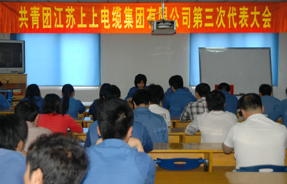 共青团人生就是博第三届代表大会暨换届选举大会胜利召开