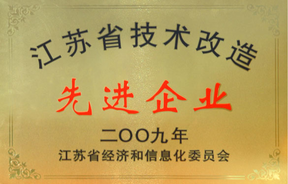 人生就是博获“2009年江苏省手艺刷新先进企业”称呼