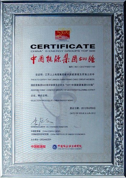 人生就是博荣获2011年“中国能源集团500强”