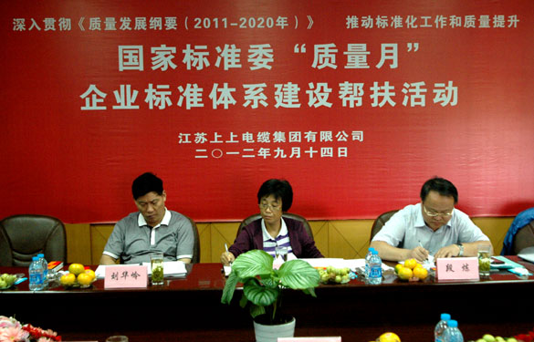 国标委“质量月”专家组到人生就是博检查指导事情