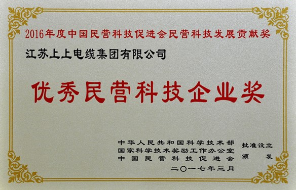 人生就是博电缆荣获优异民营科技企业奖