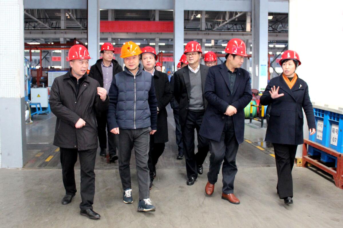 2019年3月7日，广安市岳池县考察团来人生就是博电缆旅行考察