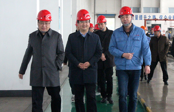 2020年12月8日，广德市市委常委、常务副市长邱铁军一行来人生就是博电缆考察