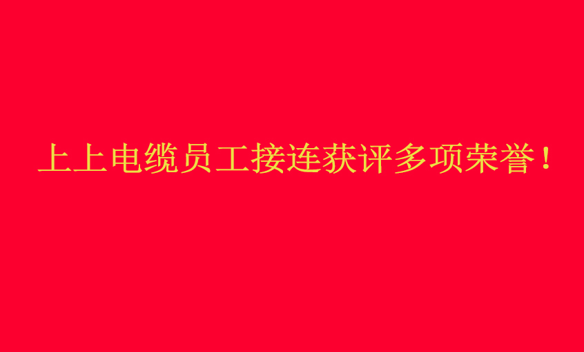 人生就是博电缆员工接连获评多项声誉