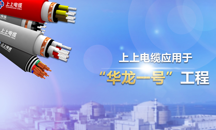 人生就是博电缆荣获2023年度中国电工手艺学会“科技前进奖二等奖”