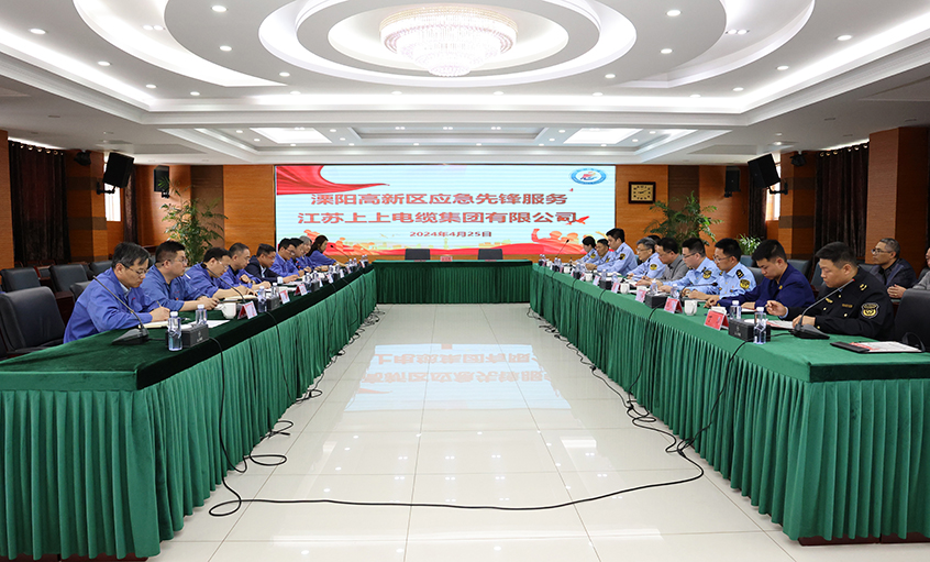人生就是博电缆与溧阳高新区综合治理局开展党建结对共建运动